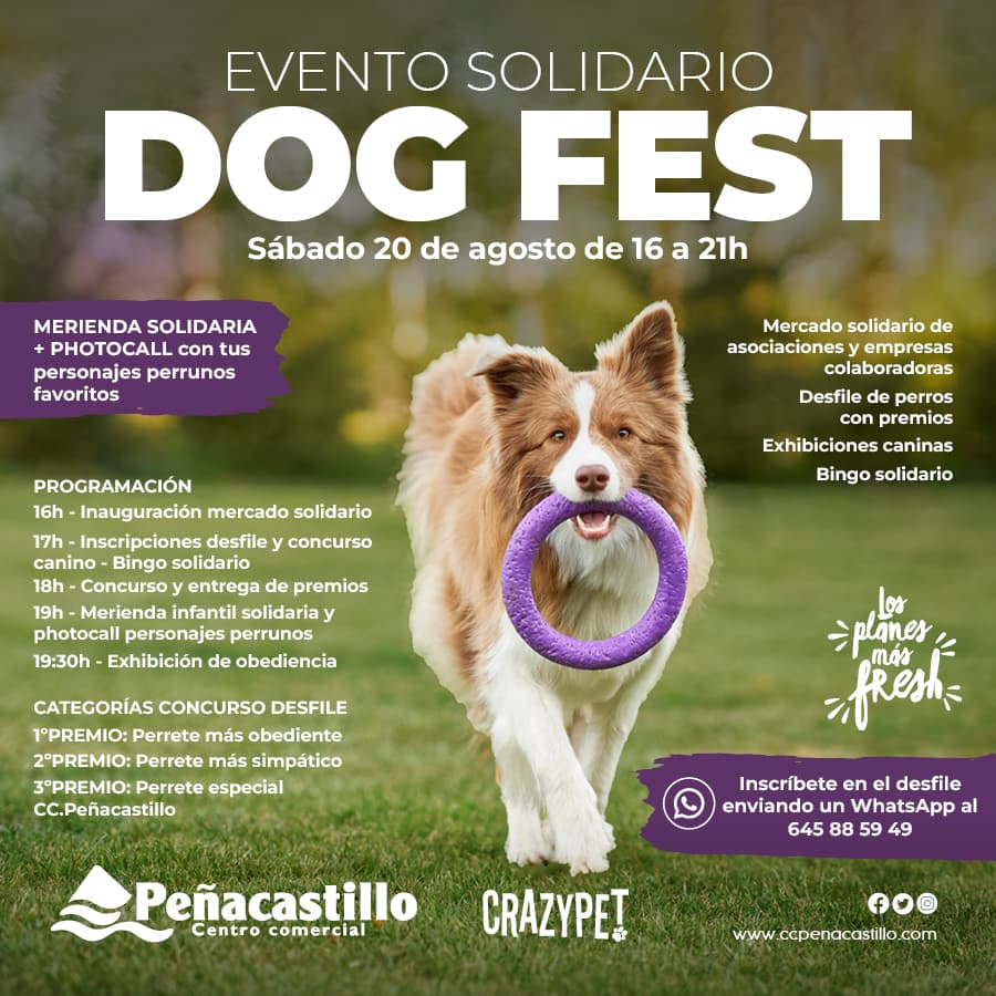 Ratione nostrud comm