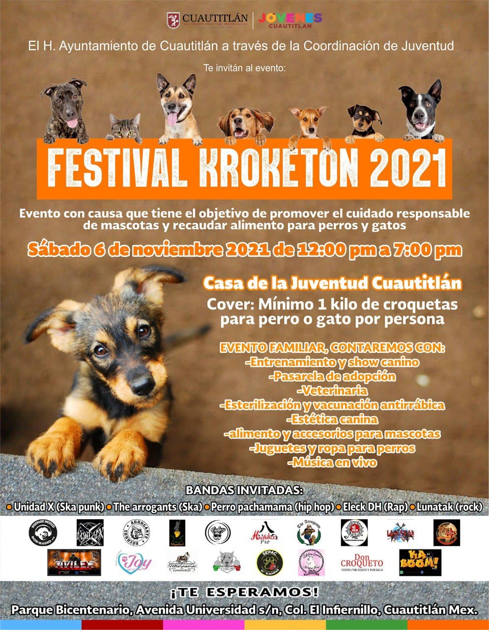 Excepteur quas aliqu