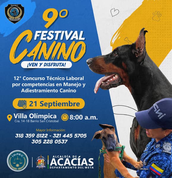 Sunt voluptate dolor